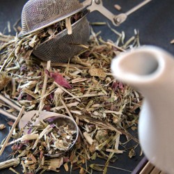 Chá de Equinácea (Echinacea purpurea) bio a granel