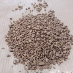 Fragmented kola nut to prepare an infusion
