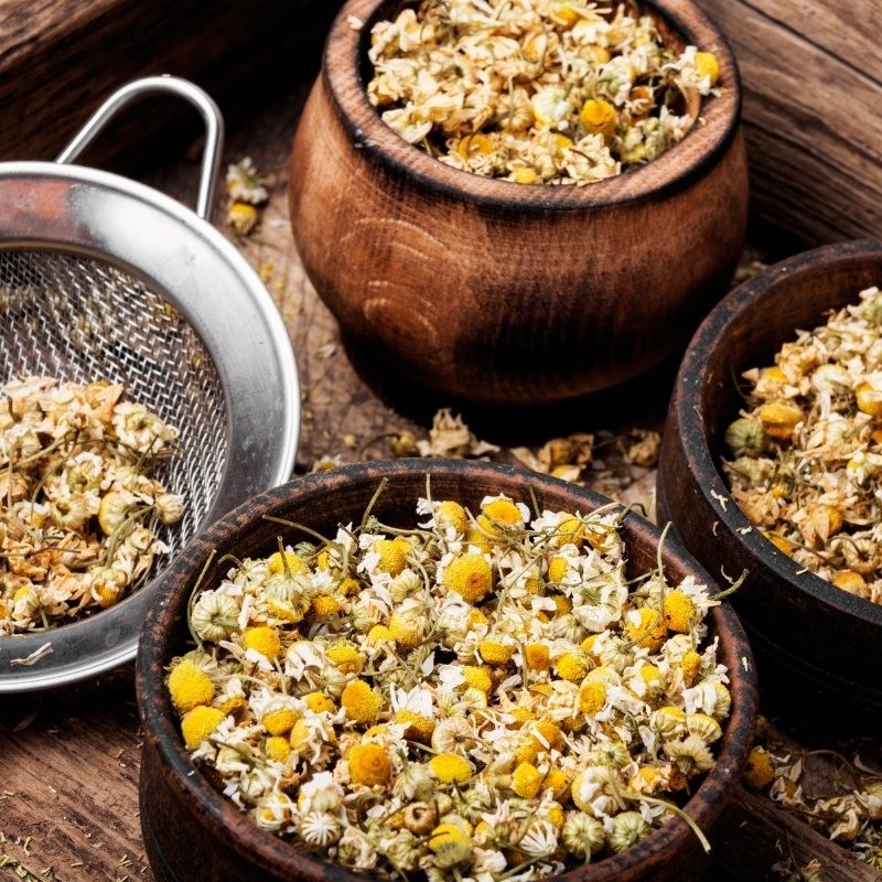 dried chamomile flowers in bowls and over a colander