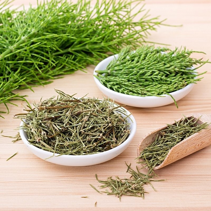 horsetail leaves arranged on plates and measuring spoons