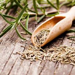 dried rosemary leaves in a wooden spoon, on an old table, next to fresh rosemary