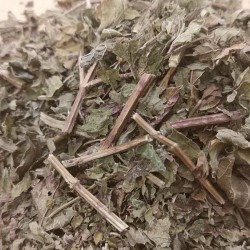feuilles de cisaillement pour préparer le thé