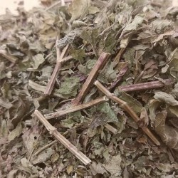 hojas de melisa para hacer té