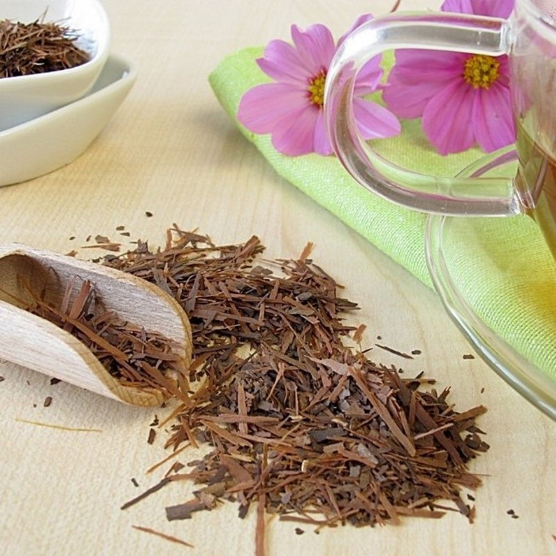 pau d'arco bark in a container and spoon to prepare tea pau d'arco bark in a container and spoon to prepare tea