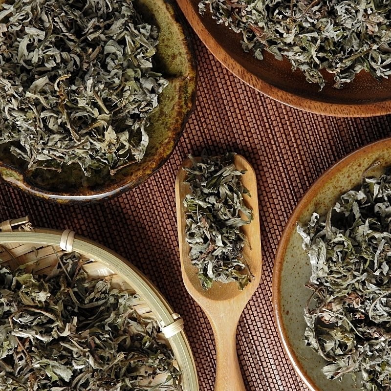 mugwort leaves on plates and in a wooden dispenser mugwort leaves on plates and in a wooden dispenser