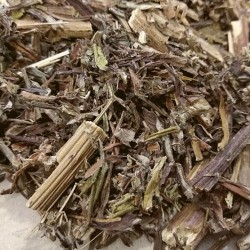 partes aéreas de artemisa para la preparación de té, baños o para incienso