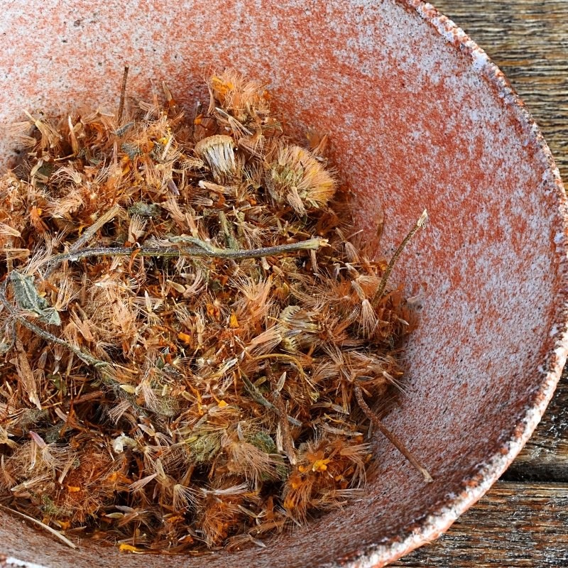 arnica flowers in a bowl arnica flowers in a bowl