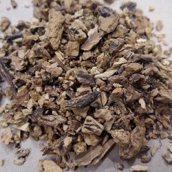 fragmented gentian roots for making tea