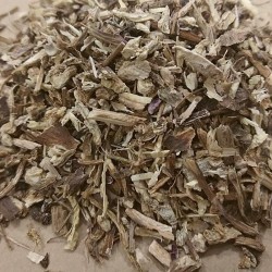 echinacea root for tea