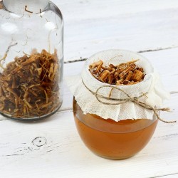 nettle root in a jar and in tea