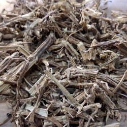 raíz de ortiga seca para preparar té