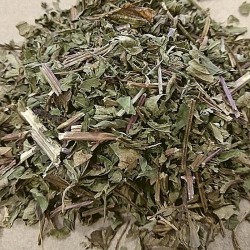 hojas de menta para el té