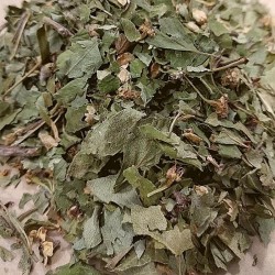 hojas de Espino Albar para hacer té