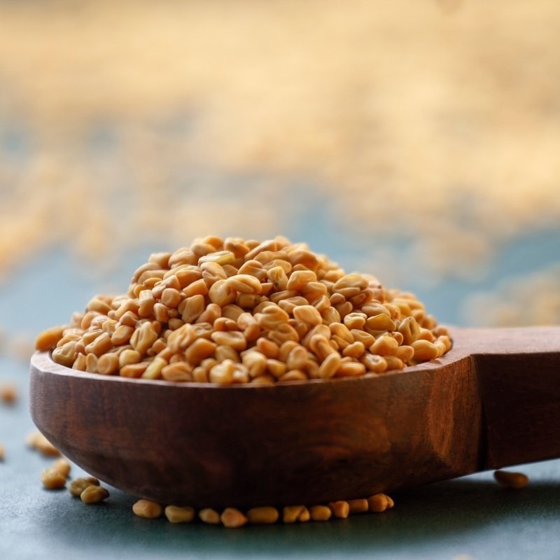 fenugreek seeds in a wooden measuring spoon fenugreek seeds in a wooden measuring spoon