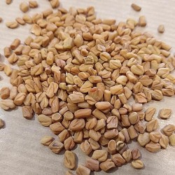 fenugreek seeds for tea