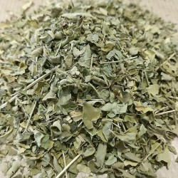 folhas de moringa para preparar chá
