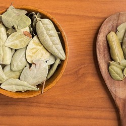 Hojas de boldo en un bol y cuchara de madera