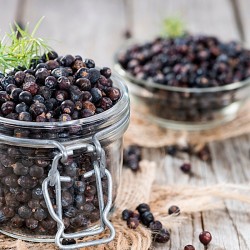 beautiful juniper berries in a jar