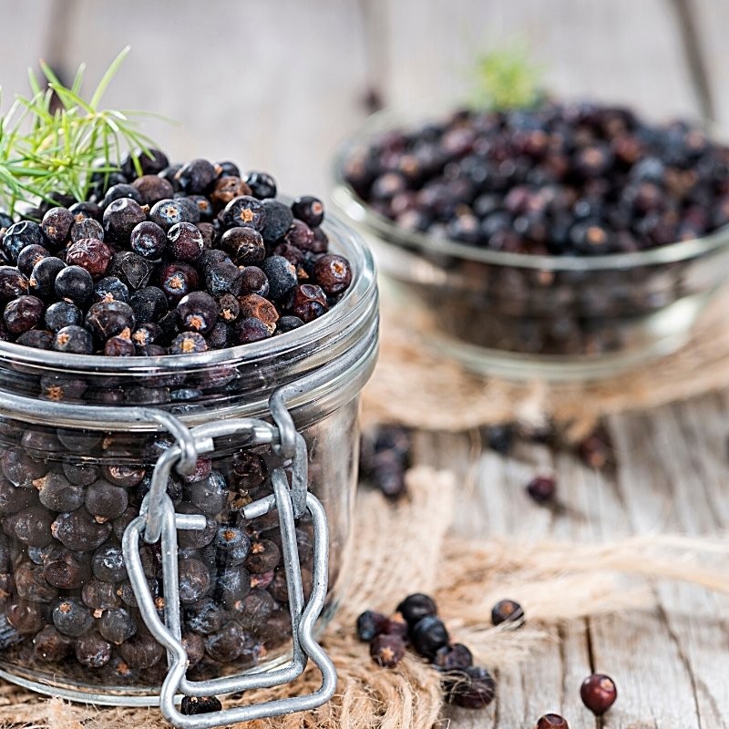 beautiful juniper berries in a jar beautiful juniper berries in a jar