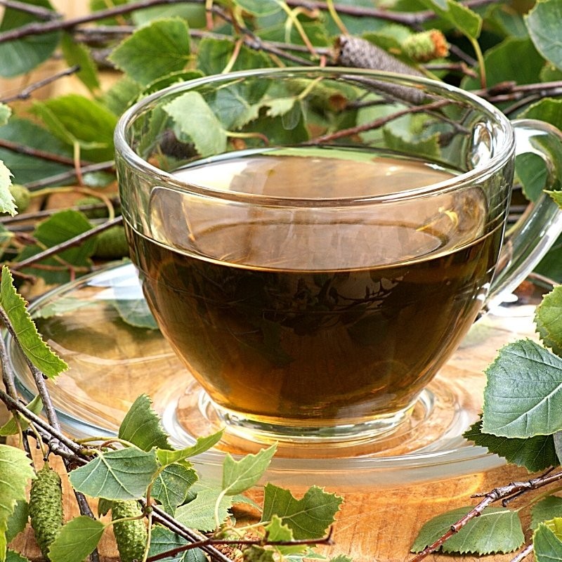 fresh birch leaves near a tea