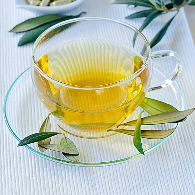 folhas de oliveira numa chávena de chá