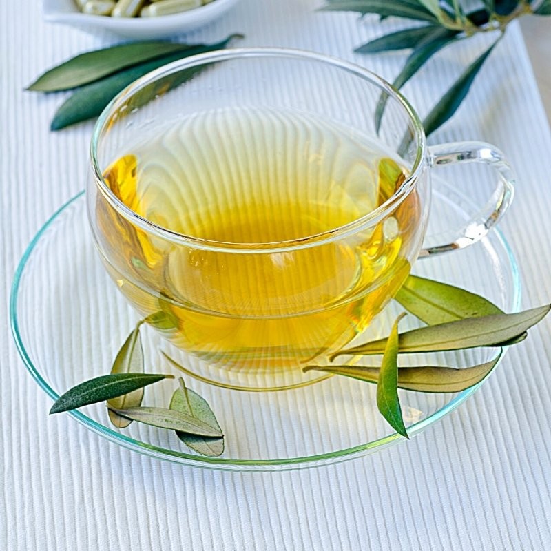 olive leaves in a cup of tea olive leaves in a cup of tea