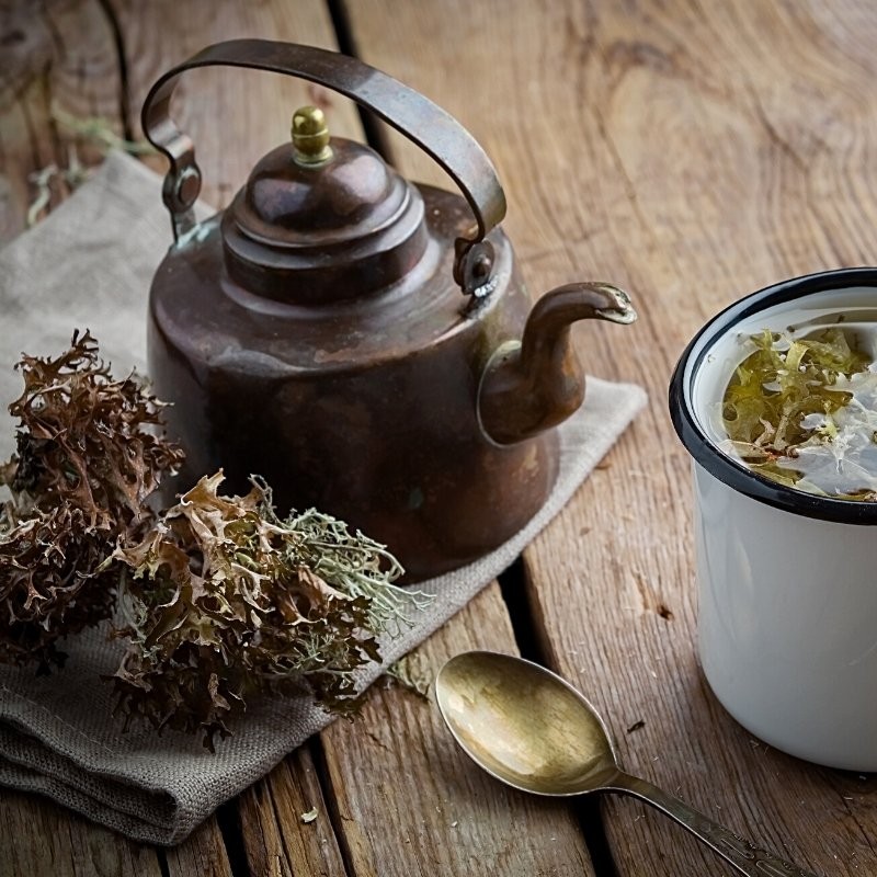 Iceland moss tea in a teapot and cup