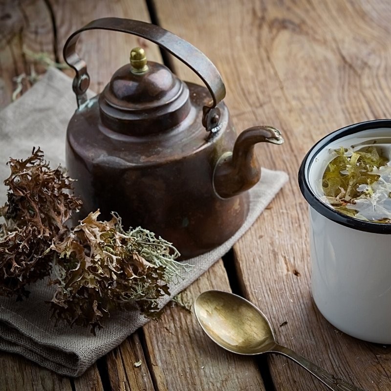 Iceland moss tea in a teapot and cup Iceland moss tea in a teapot and cup