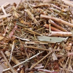 kneip feuilles et fleurs de millepertuis pour préparer le thé