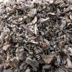 feuilles de molène pour préparer le thé