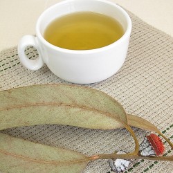 whole eucalyptus leaves next to tea