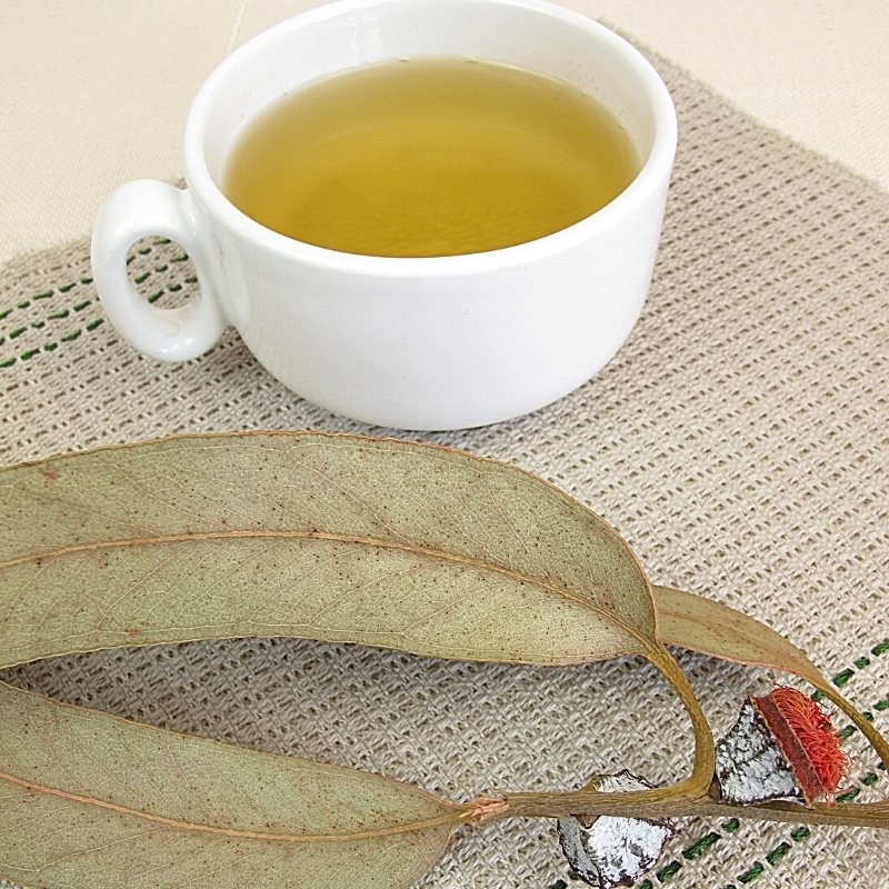 whole eucalyptus leaves next to tea whole eucalyptus leaves next to tea