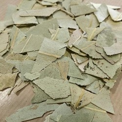 folhas de eucalipto fragmentadas para preparar chá
