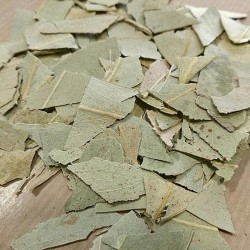 fragmented eucalyptus leaves to prepare tea