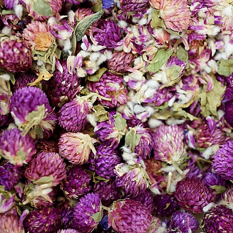 organically grown globe amaranth flowers for tea / infusion organically grown globe amaranth flowers for tea / infusion