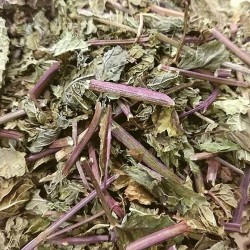 hojas de hierbabuena para el té