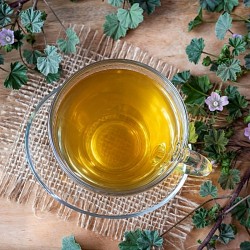 folhas e flores de malva frescas sobre a mesa junta a uma chávena de chá