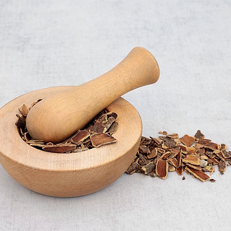 Cascara Sagrada Bark in a mortar and on the table