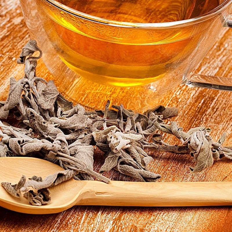 dried sage leaves with a cup of tea