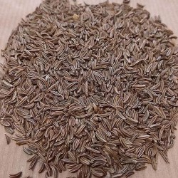 sementes de alcaravia para preparar chá