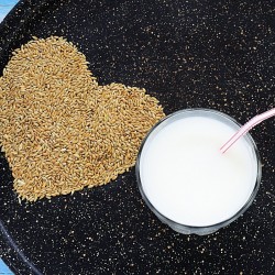 semillas de alpiste en forma de corazón junto a un vaso de leche de alpiste