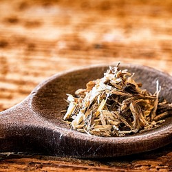 Angelica root in a wooden spoon.