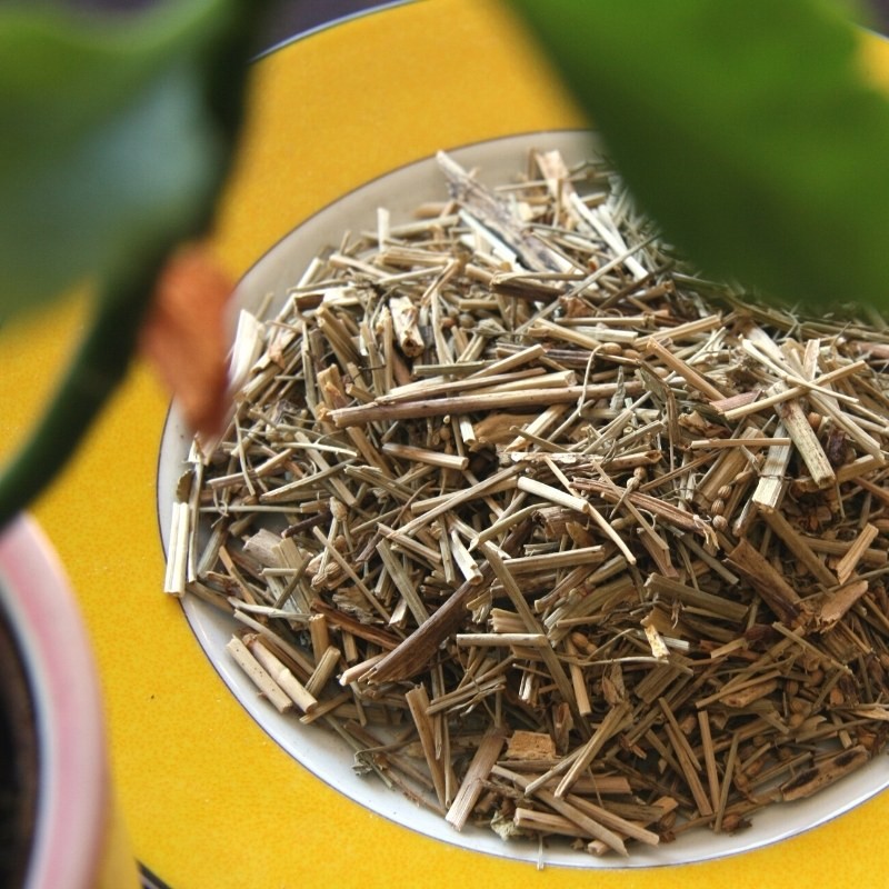 dried Hedge Mustard on a plate