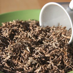 bacopa en un plato al lado de una taza