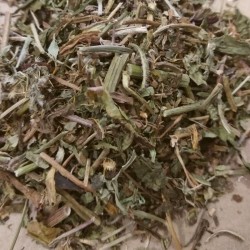 feuilles de pissenlit pour préparer le thé