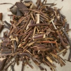 sarsaparilla root for tea