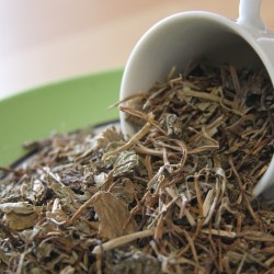 hojas de gotu kola en una taza y un plato