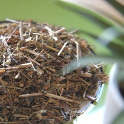 Herb Robert on a plate