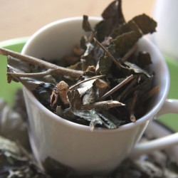 chá de bugre in a cup and on a plate