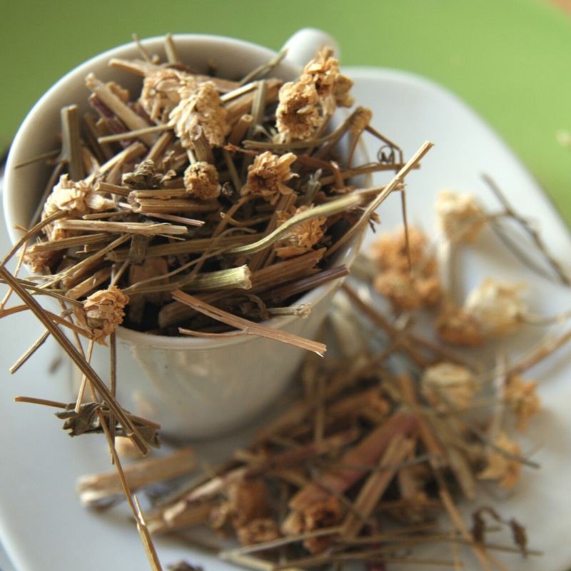 dried feverfew in a cup on a plate